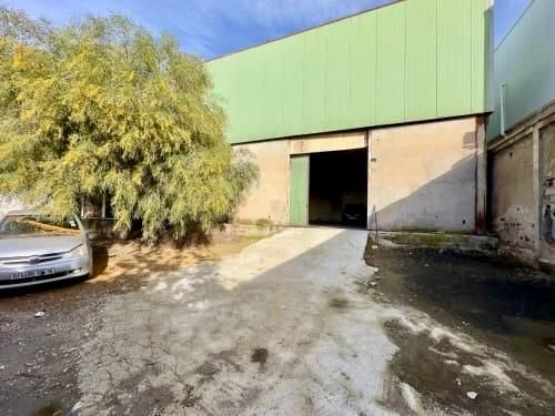 Agence immobilière loue à la zone d’activité de Fouka (Blida) un hangar de : 1100 M² — Hangar - usine à فوكة