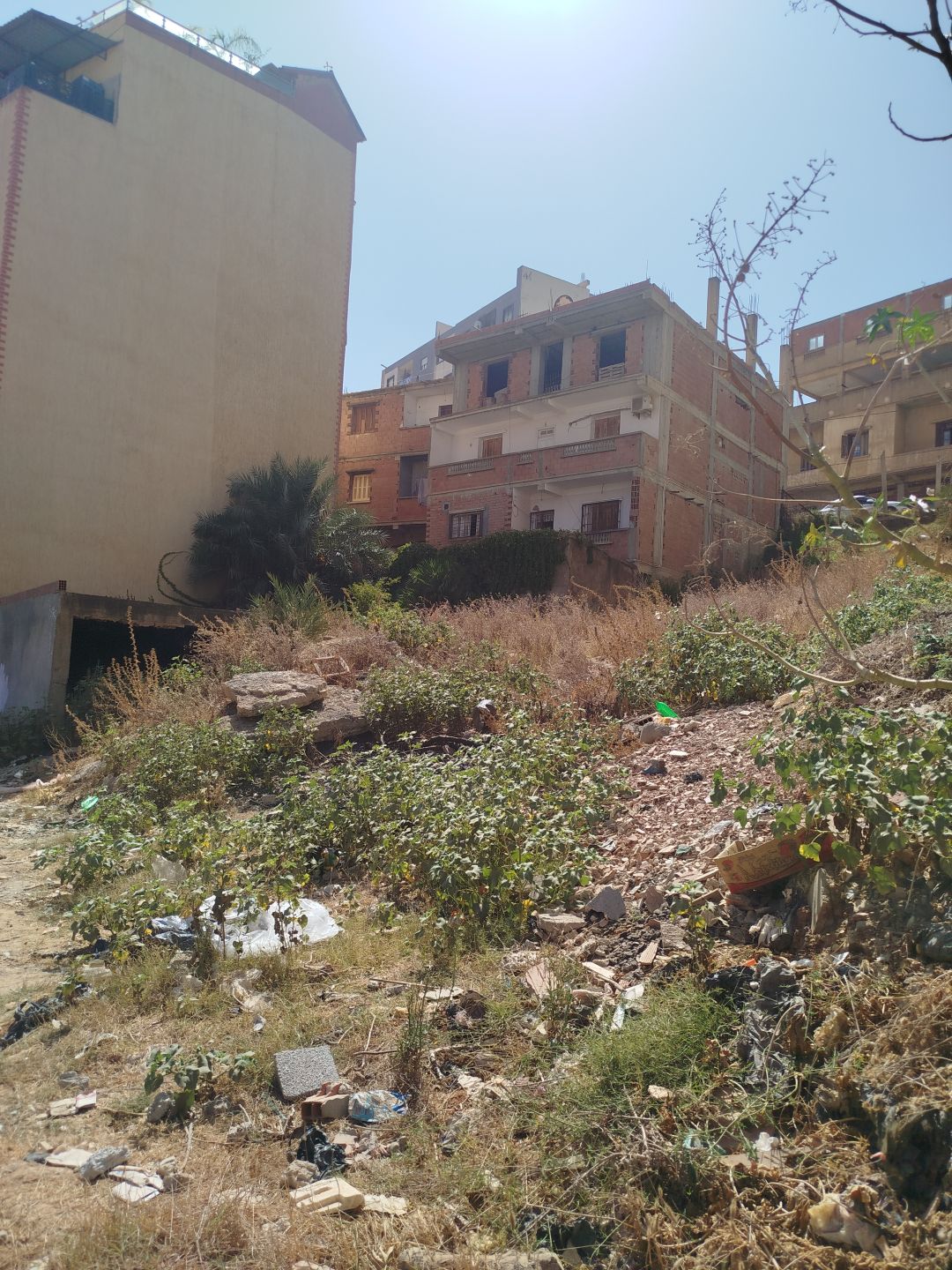Terrain 370m Benrahmoune — Terrain à قورصو