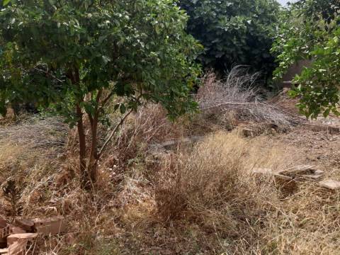 terrain agricole