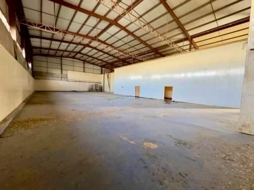 Agence immobilière loue à la zone d’activité de Fouka (Blida) un hangar de : 1100 M² — Hangar - usine à فوكة (photo 3)
