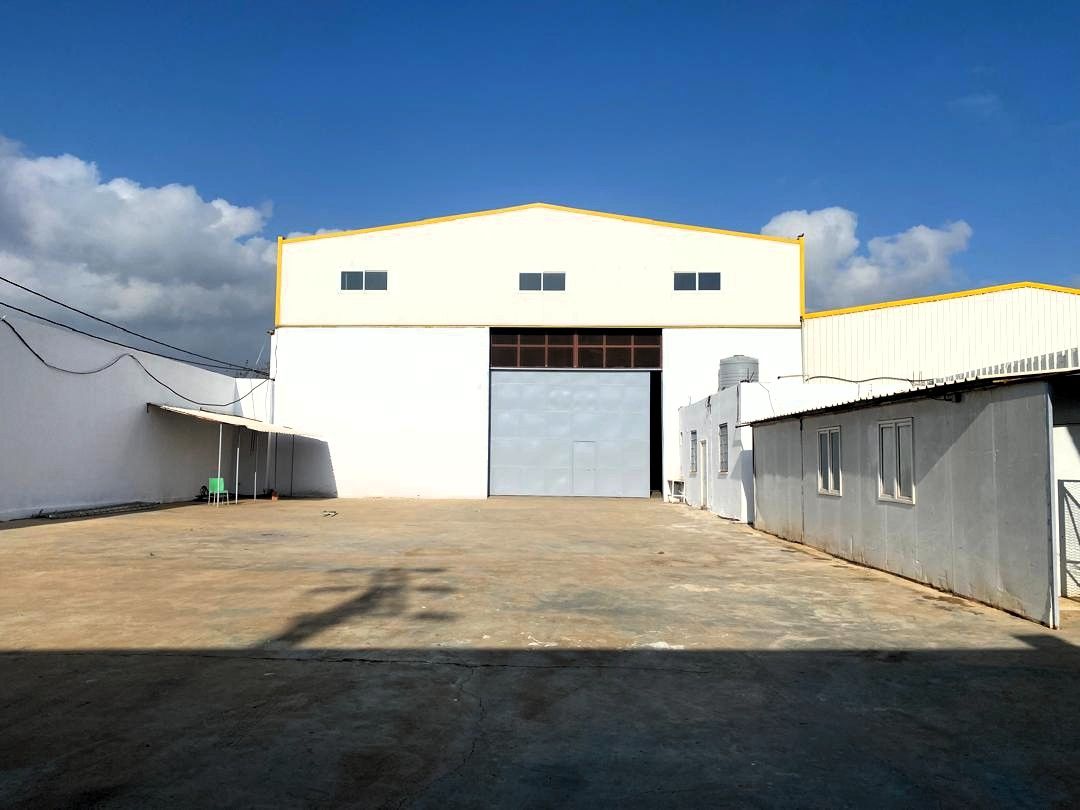Agence immobilière loue à Route de Htatba (Koléa) un hangar de : 1300 M² — Hangar - usine à القليعة (photo 4)