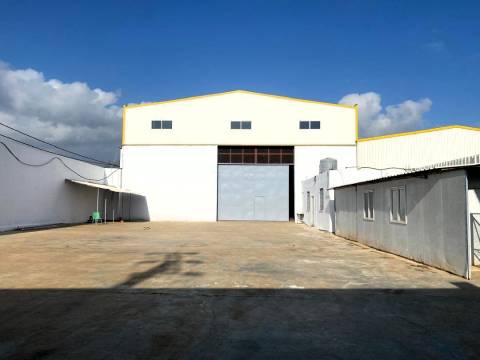 Agence immobilière loue à Route de Htatba (Koléa) un hangar de : 1300 M² — 4