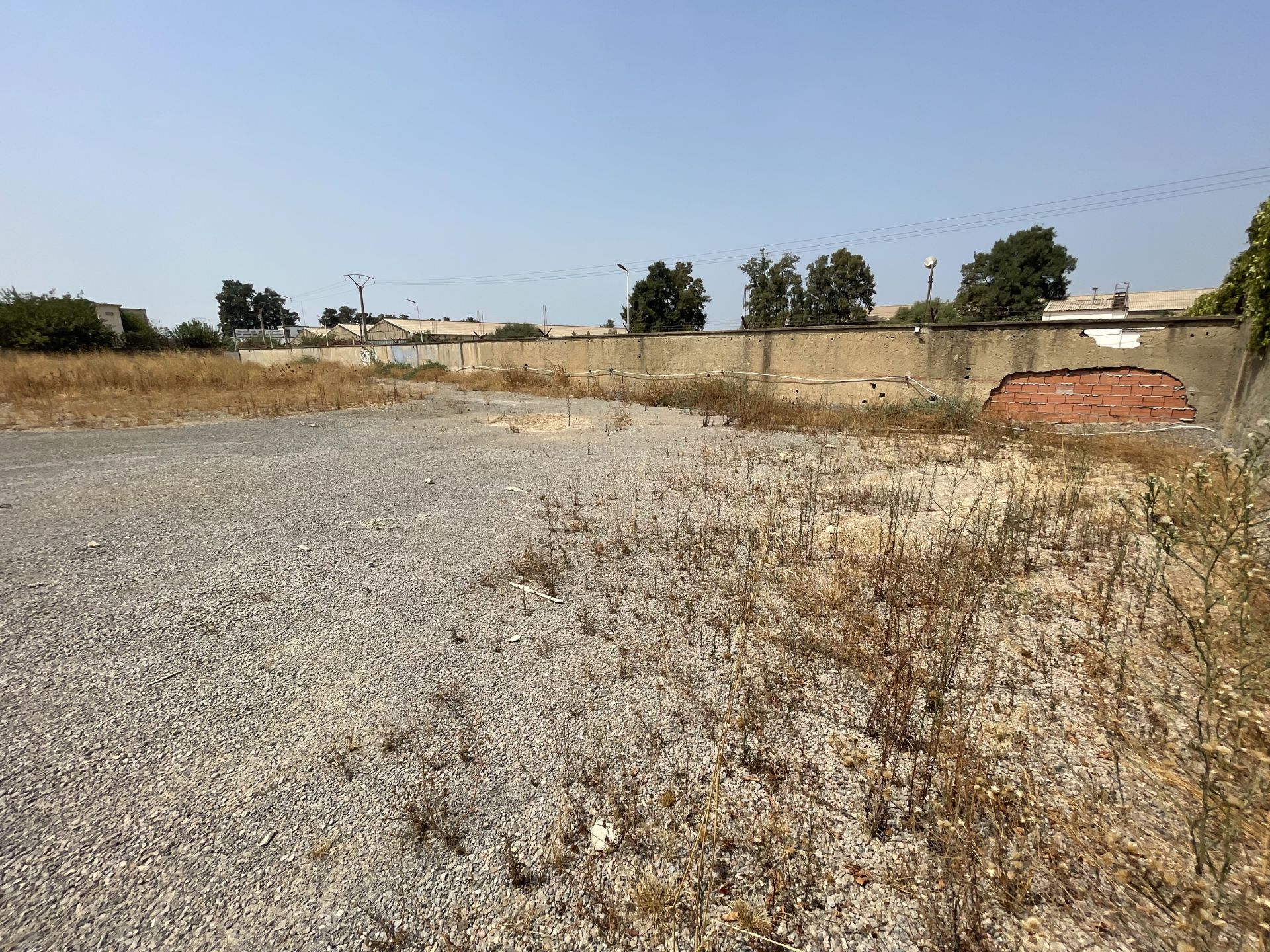 Terrain 7000 m² à Blida