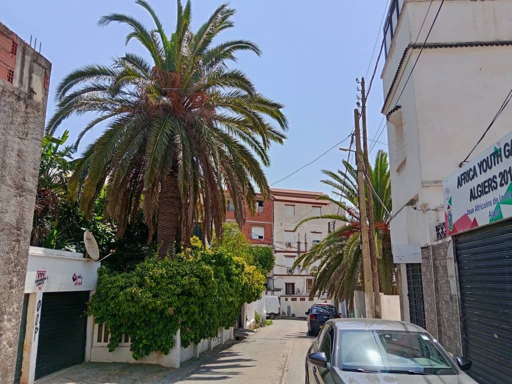 🚨VILLA  AFFAIRE  À  BEN- AKNOUN 🚨 — Maison à ابن عكنون (photo 5)