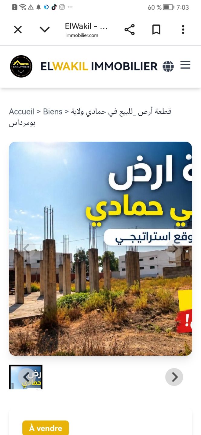قطعة أرض للبيع — Terrain à حمادي